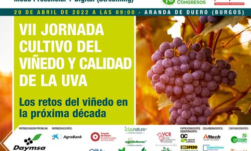 VII JORNADA CULTIVO DEL VIÑEDO Y CALIDAD DE LA UVA 2022 Los retos del viñedo en la próxima década 